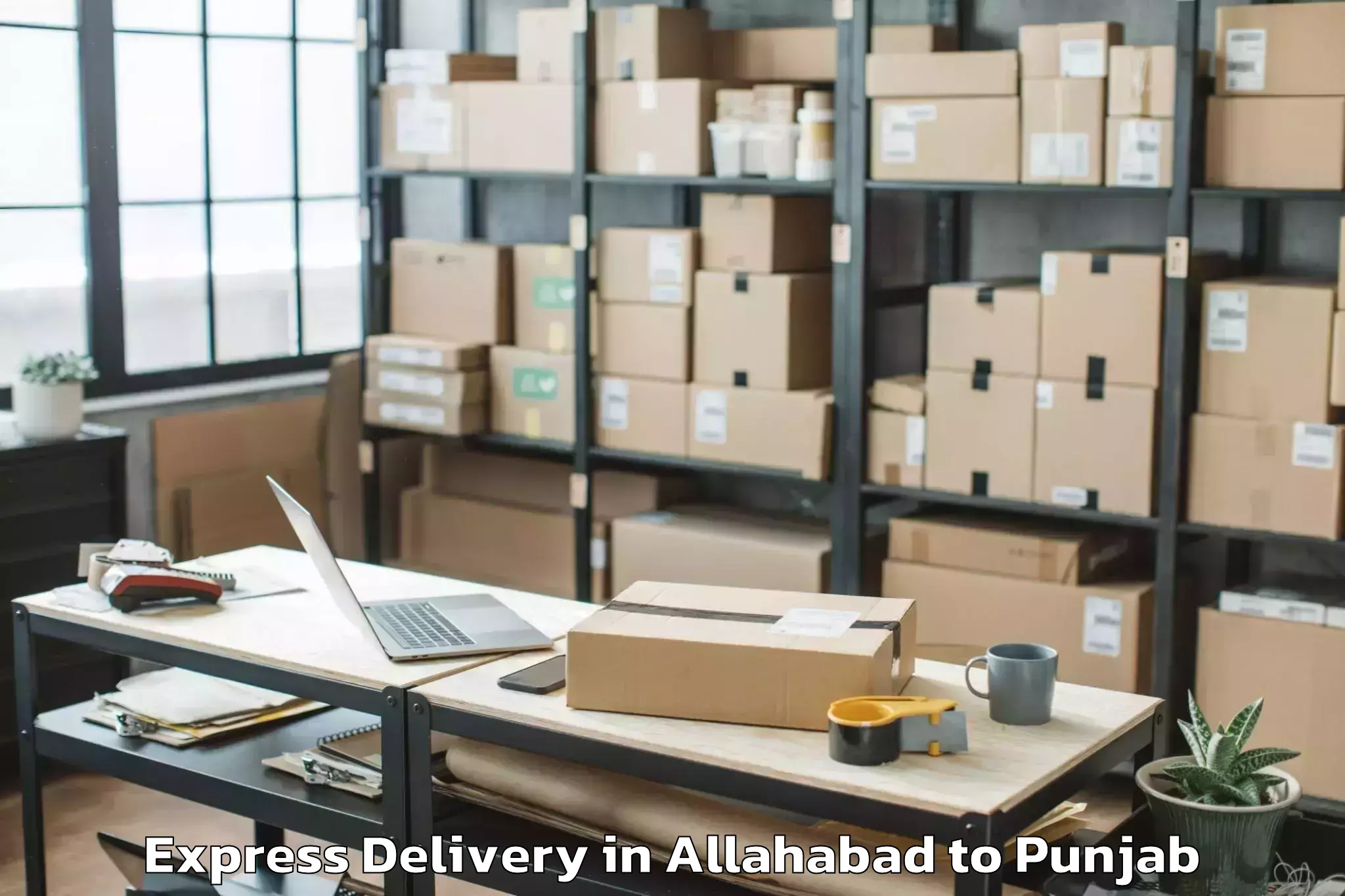 Professional Allahabad to Chandigarh Airport Ixc Express Delivery